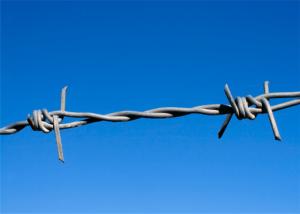 Quality BWG12 BWG14 Fence Galvanized Barb Wire Roll wholesale