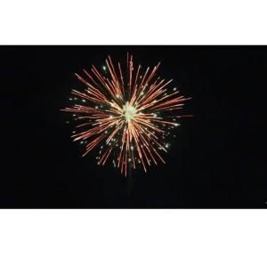 Quality 16 Shots Consumer Cake Fireworks Chinese Customized Export Fireworks Salute wholesale