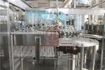 Vacuum Return System Plastic Bottle Filling Machine , Small Scale Juice Bottling