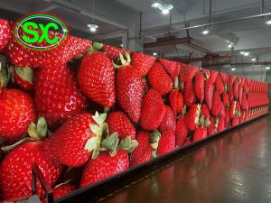 Quality ISO2001 4K GOB LED Display P1.667 P2.0 P2.5 Advertising Wall 1200nits wholesale