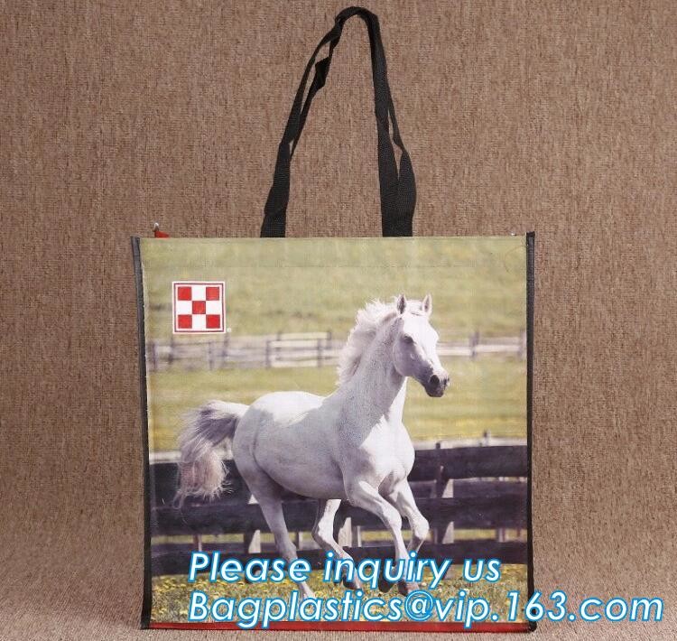 Manufacturer Wholesale Promotional Price Recyclable Fabric Shopping Tote Carry Custom PP Woven Bags, bagplastics, bageas