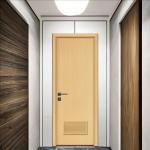 Upgrade Your Interior Aesthetics With WPC Hollow Door Eco-Friendly Insulation
