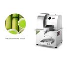 Screw Power Sugar Cane Squeezer Stainless Steel 220V Sugar Cane Juice Extractor