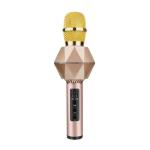 Wireless Bluetooth Karaoke Microphone Portable Handheld Karaoke Mic Speaker