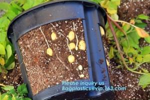 Quality Green Gardening Biodegradable Recycling Bags Seeding Nursery Pots wholesale