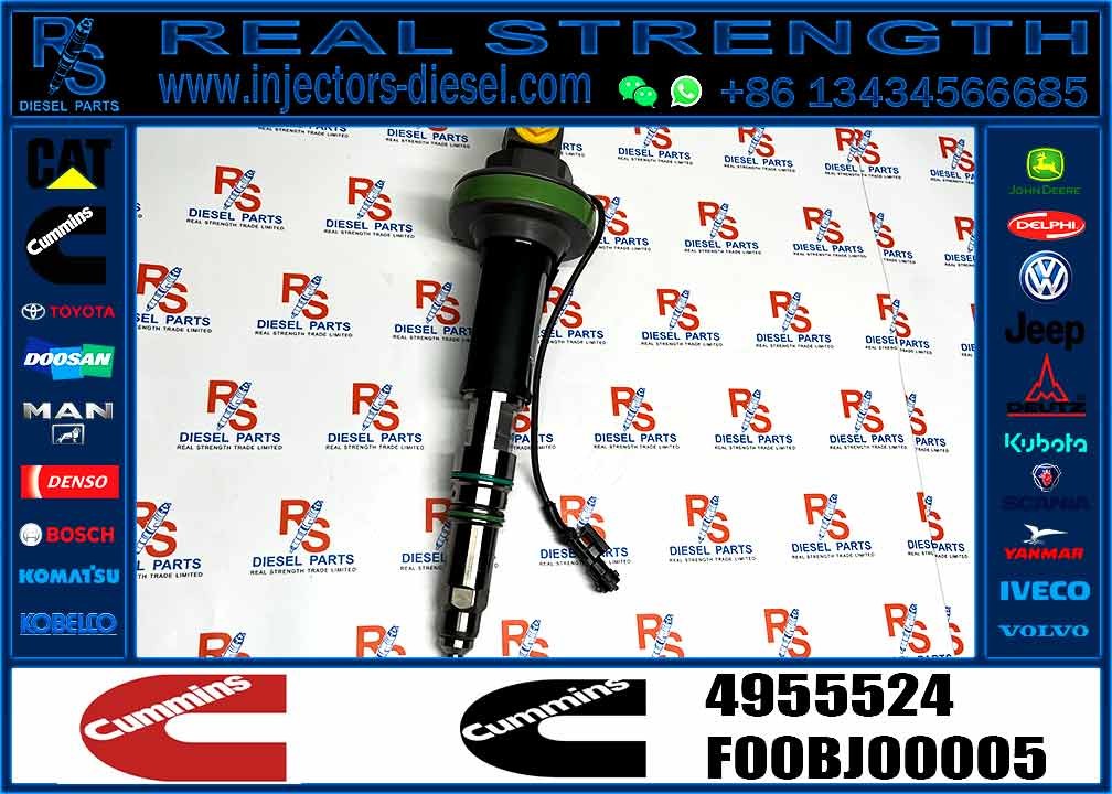 4964170 Diesel QSK19 Engine Common Rail Fuel Injector 4955524 2867149 4955527 2882079 4964173