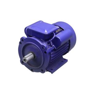 Quality 1 HP 4 Pole Single Phase Induction Motor 1440 Rpm wholesale