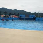 ISO9001 0.3-1.2m Height Big Surf Wave Pool Water Park Long Working Life