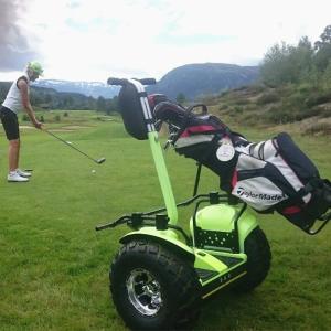 Quality EcoRider two wheel self balancing off road segway golf scooter stand up electric golf scooter wholesale