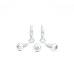 Pan Head Torx Drive Self Drilling Tapping Screw for Metal in 304 Stainless Steel