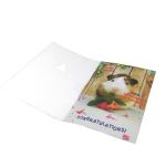 300gsm Paper Musical Paper Greeting Cards Handmade Built In Slider Switch