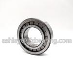 SL18-2209A XL C3 INA Cylindrical Roller Bearing Single Row,Standard class
