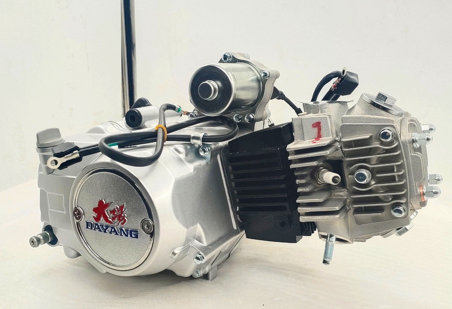 Complete Motorcycle Nature 110CC Engine Cylinder Style A Class Origin Ignition CCC