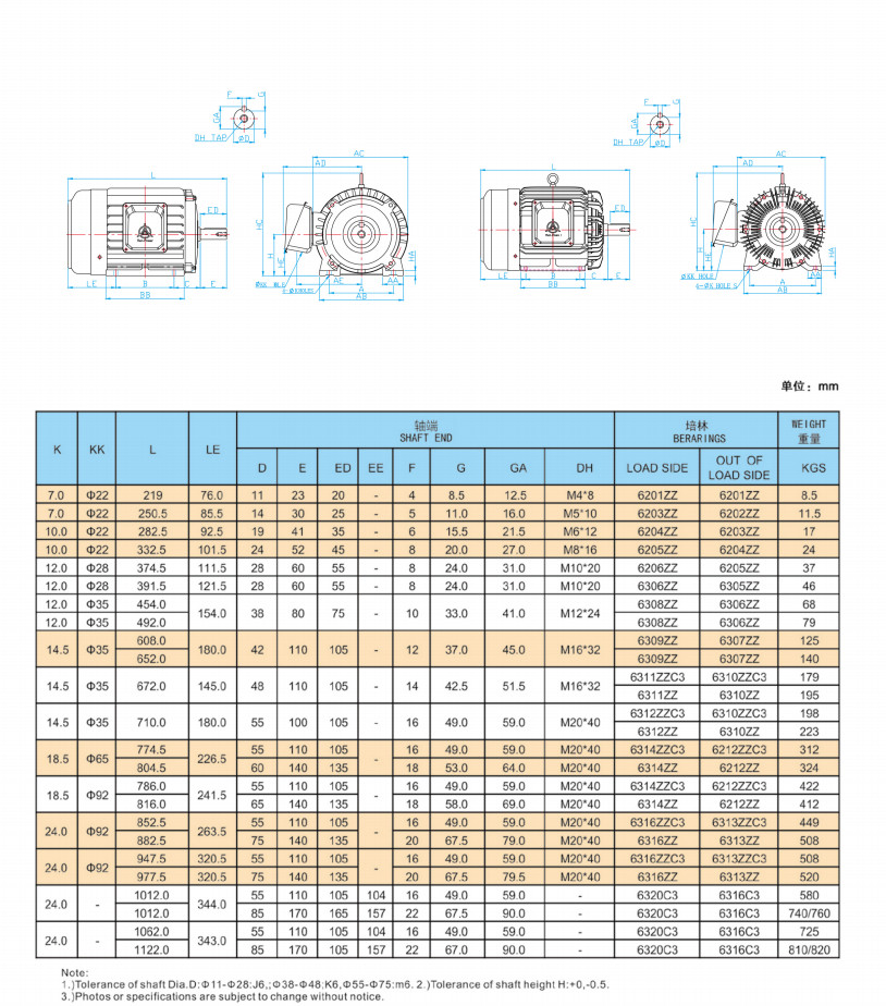 Ip55 Iec60034 14 Iec Metric Motor