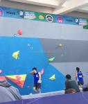 450*290*110mm Large Fiberglass Material Boulder Wall Climbing Holds