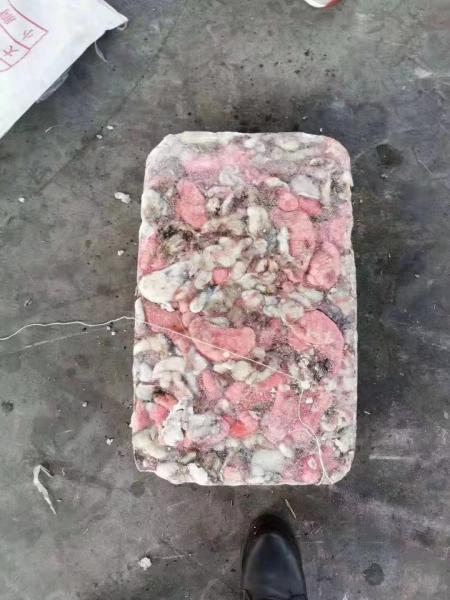 New Processed Ready Stock Red And White Eggs 12.5kg Per Block BQF Frozen Indian