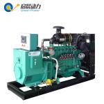 Open Type Methane Generator Biogas Generator 200kVA 160kw