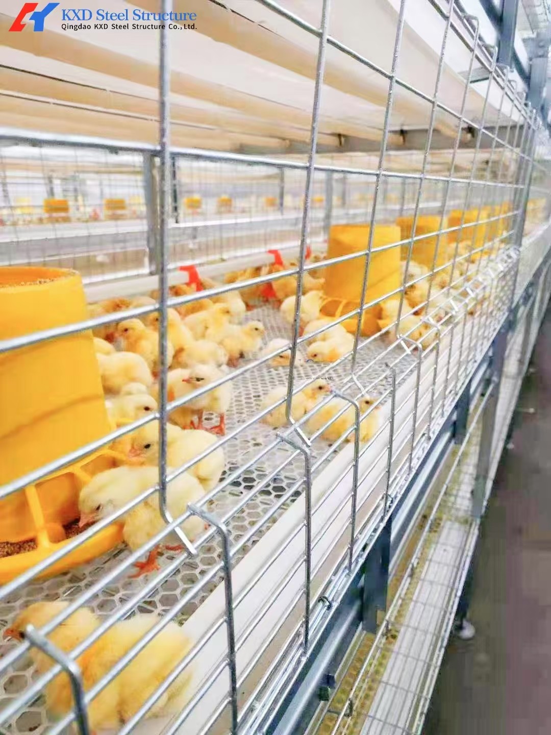 Broiler Farm Plastic Slatted Dung Leaking Board Poultry Slat Floor For Chicken Chick Duck Goose