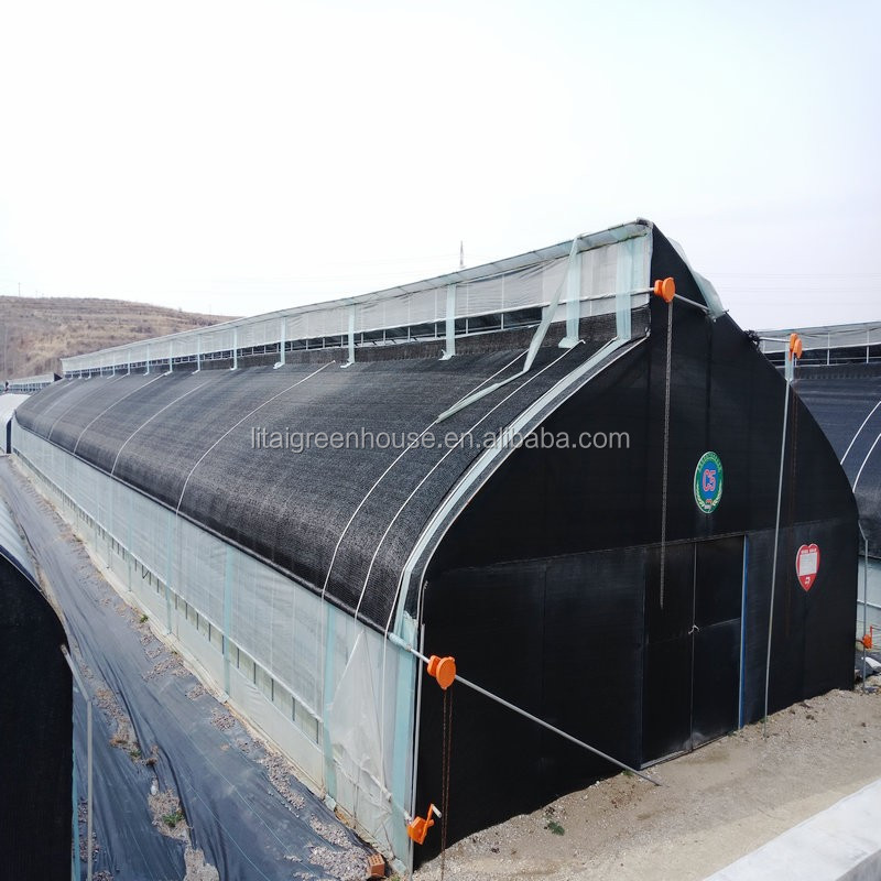 Food Grade PVC Planting Trough for Large-Scale Hydroponic Greenhouse Growing System