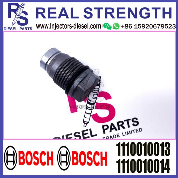 BOSCH Control Valve relief valve 1110010013 1110010014 1110010026 1110010027