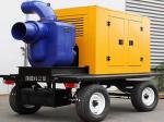 ISO Diesel Water Pump Set Diesel Motor Pump For Floodwater Prevention