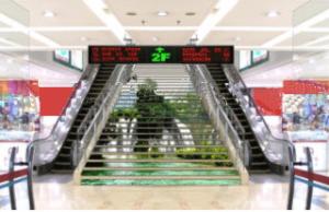 Quality Outdoor Waterproof IP65 Tri Color Led Display modules RB/RG in India wholesale