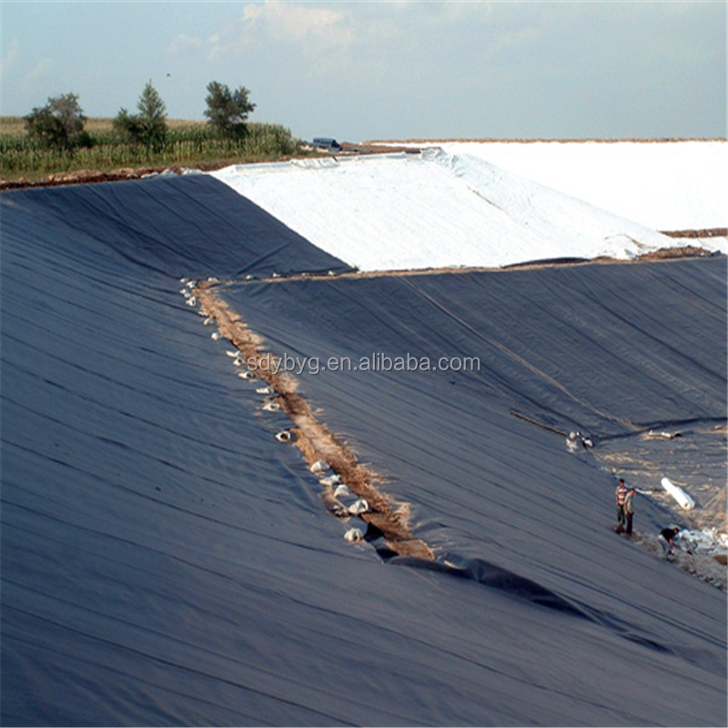 Industrial HDPE Geomembrane 0.2mm -3mm for Waste Purification in 's Industrial Sector