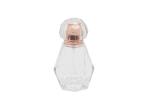 100ml Clear Various Shapes Pump Mist Spray Bottle With Caps