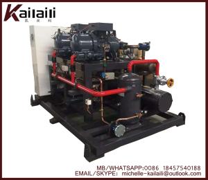Quality Hanbell Screw Paralleled Racks Condensing Unit /Refrigeration system wholesale