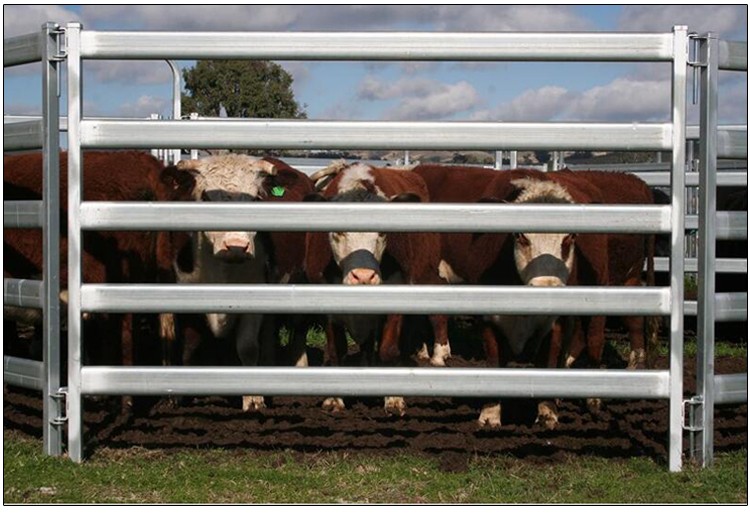 Interpon Powder Coated RAL 6005 USA Livestock Fence Panels 6ft X 10ft
