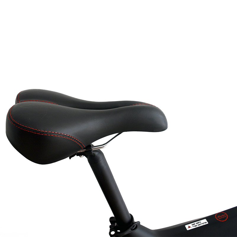 Domanca Carbon Fiber Fat Tire Electric Bike Off eBike 750w with JELLY POWER Battery
