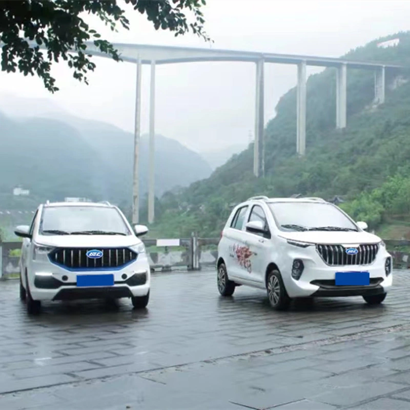 Qingdao China Supplier New Energy Car Cheap Price Electric Adult Vehicle for Sale