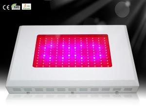 Quality 140*3W led grow lighting wholesale