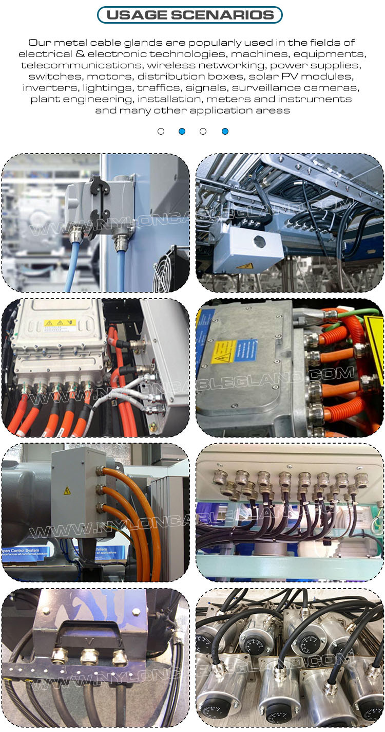 Type 316L, 316, 304 Stainless Steel IP68 Cable Gland M100x2.0 Metric Thread (EN 60423) for 78mm~84mm Cables
