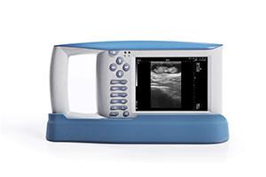 Quality USB Diagnostic Ultrasound Equipment With OB Software For Animals And 100 Images Storage wholesale