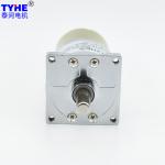 Speed Adjustable Micro Dc Gear Motor 6V-24V 42mm 10rpm 20rpm 30kgcm 2nm
