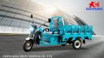 DY-160 Upgrade Heavy Duty Three Wheel Electric Cargo Tricycles for Farm 1.5m