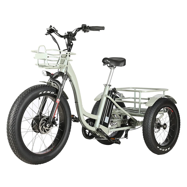 7 Speed 3 Wheel Electric Tricycle 24 Inch 48V 500W Fat Tire Electric Trike For Adult