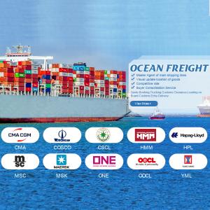 Quality China To Turkey Professional Container Sea Freight Shipping Service Agent wholesale