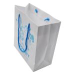 Recyclable CDR Custom Printed Paper Shopping Bag CMYK PMS With Rope Handles