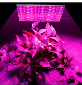 Quality Full Spectrum 45W 85V Indoor Plant Grow Light wholesale