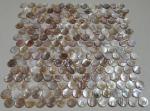 Multicolor Round Shell Mosaic Tile Backsplash For Kitchen Decoration