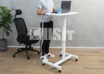 Gas Spring Hydraulic Height Adjustable Laptop Standing Desk Single Leg