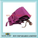 Auto Open and Close Skeleton Umbrella