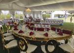 PVC White Elegant 30x30m Clear Wedding Event Tent