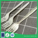 Biodegradable Picnic Disposable Fork