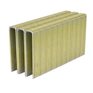 Quality N21 16GA Galvanized Flooring Staples 2 Inch Yellow 7/16 inch Crown wholesale