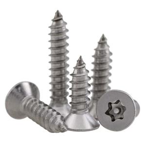 Quality Torx Tamper Proof Self Tapping Screws wholesale