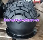 BS4504 PN10/16 EPDM flanged foot valve